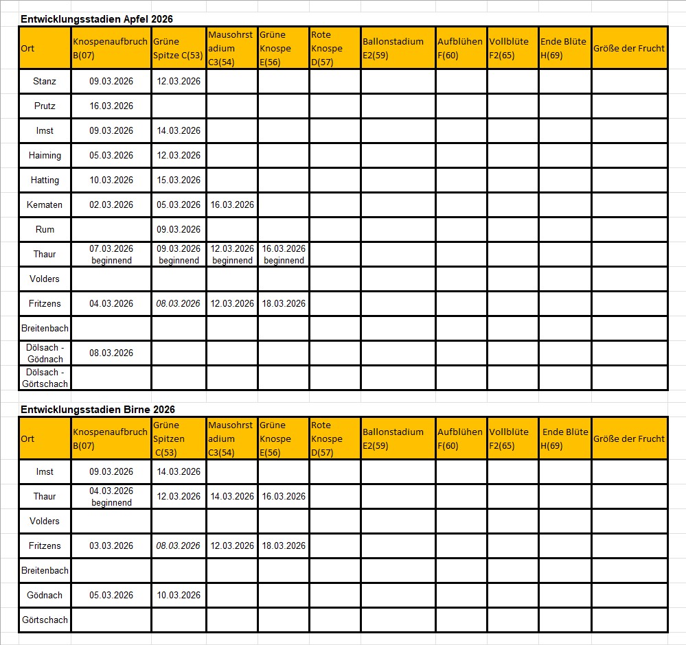 2026 Entwicklungsstadien.jpg